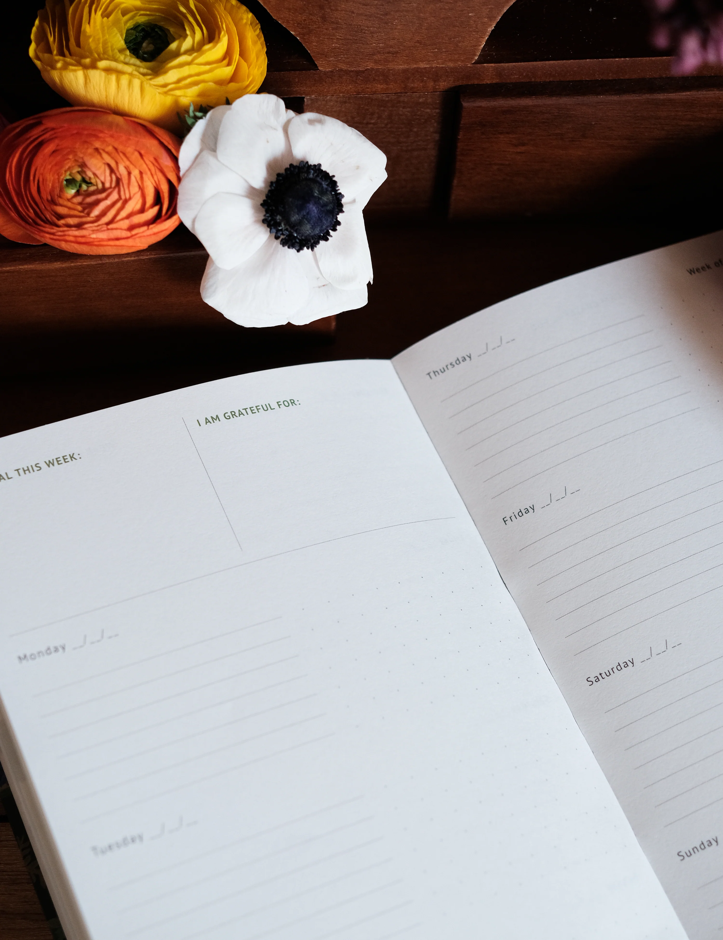 Undated Yearly Planner | Pet Therapy - Image 5
